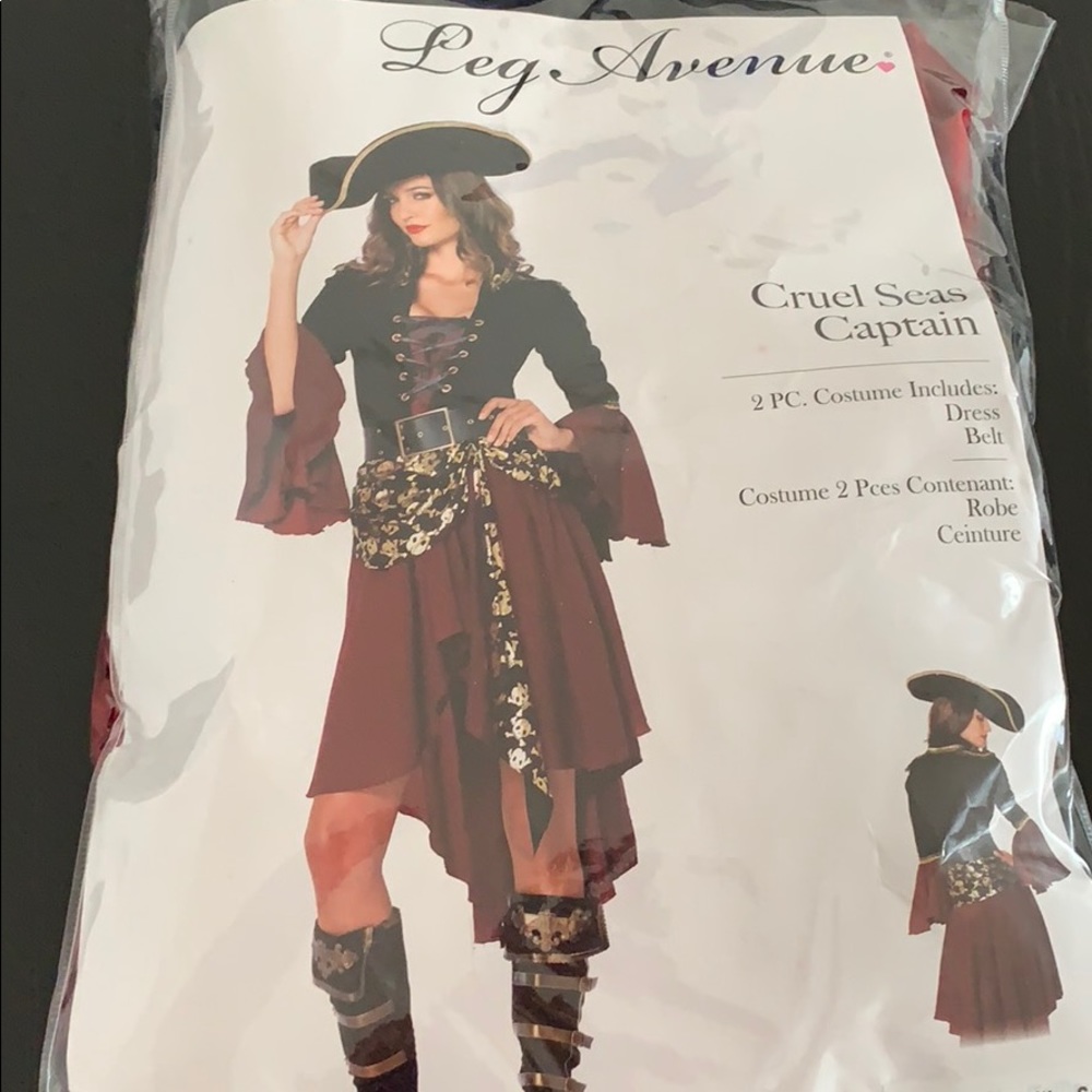 Pirate costume